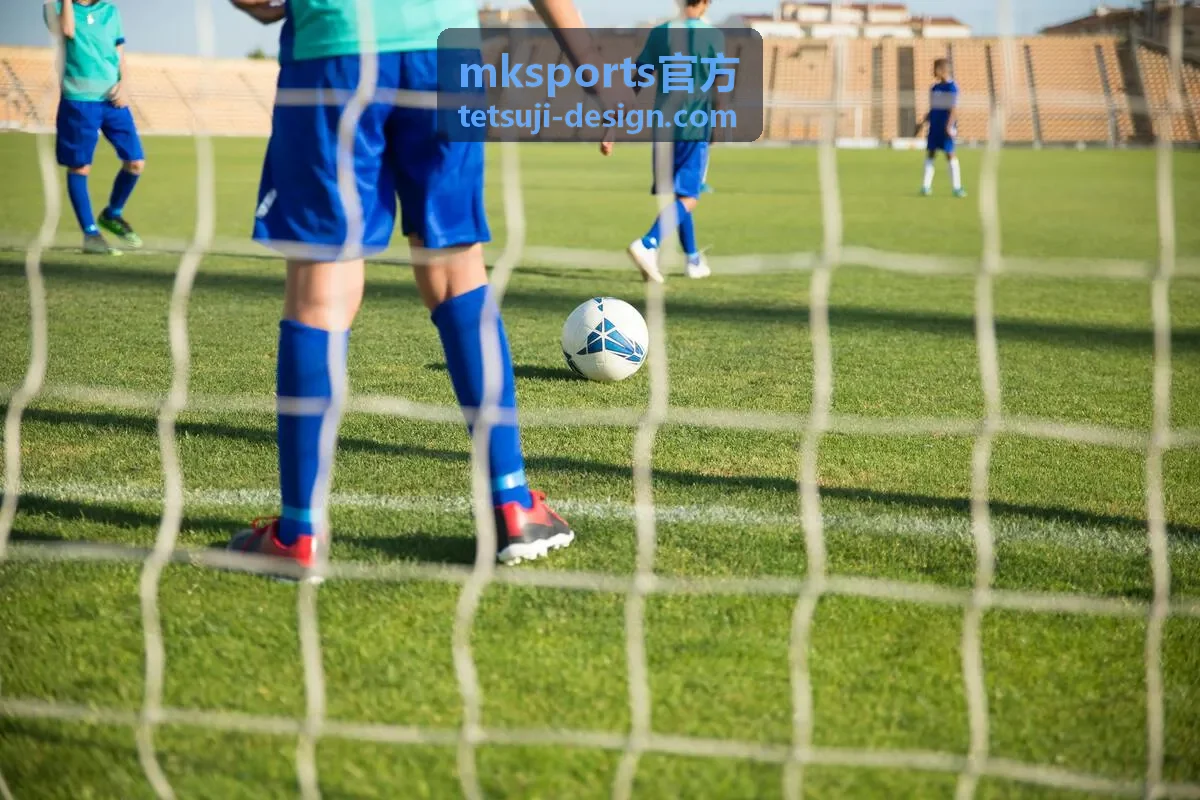 mksports官方 服务安排公告封面