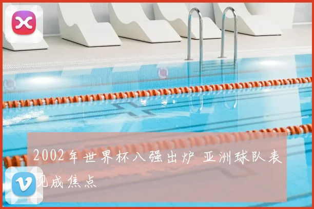 2002年世界杯八强出炉 亚洲球队表现成焦点