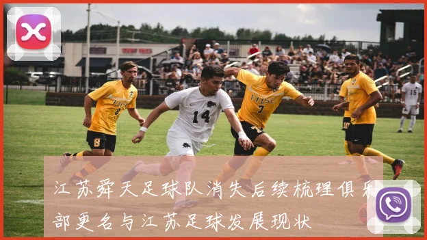 江苏舜天足球队消失后续梳理俱乐部更名与江苏足球发展现状