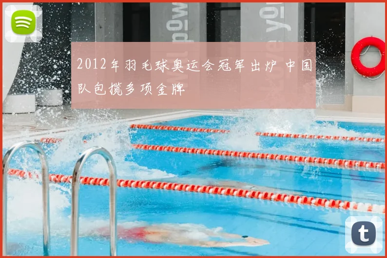 2012年羽毛球奥运会冠军出炉 中国队包揽多项金牌