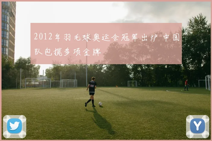 2012年羽毛球奥运会冠军出炉 中国队包揽多项金牌