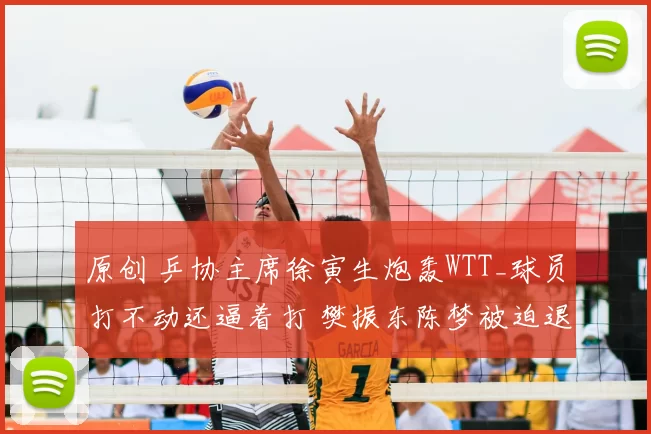 原创 乒协主席徐寅生炮轰WTT_球员打不动还逼着打 樊振东陈梦被迫退出