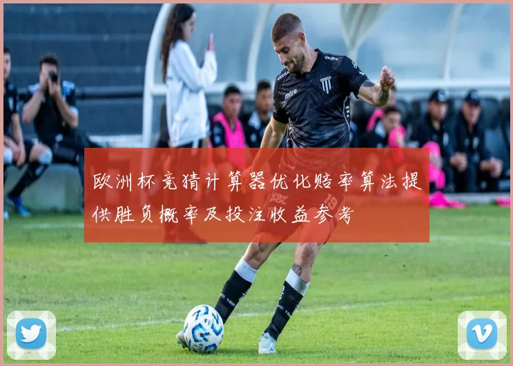 欧洲杯竞猜计算器优化赔率算法提供胜负概率及投注收益参考