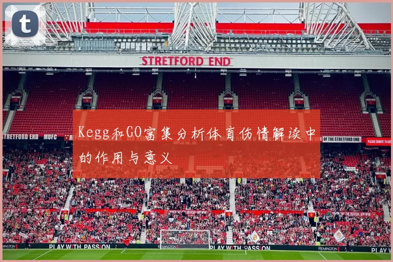 Kegg和GO富集分析体育伤情解读中的作用与意义