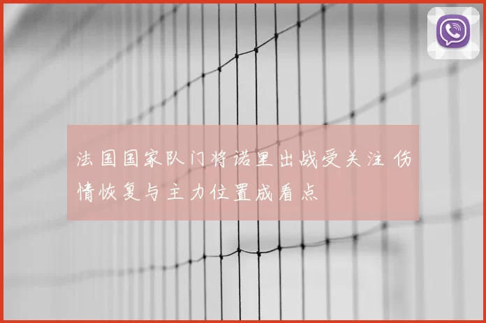 法国国家队门将诺里出战受关注 伤情恢复与主力位置成看点